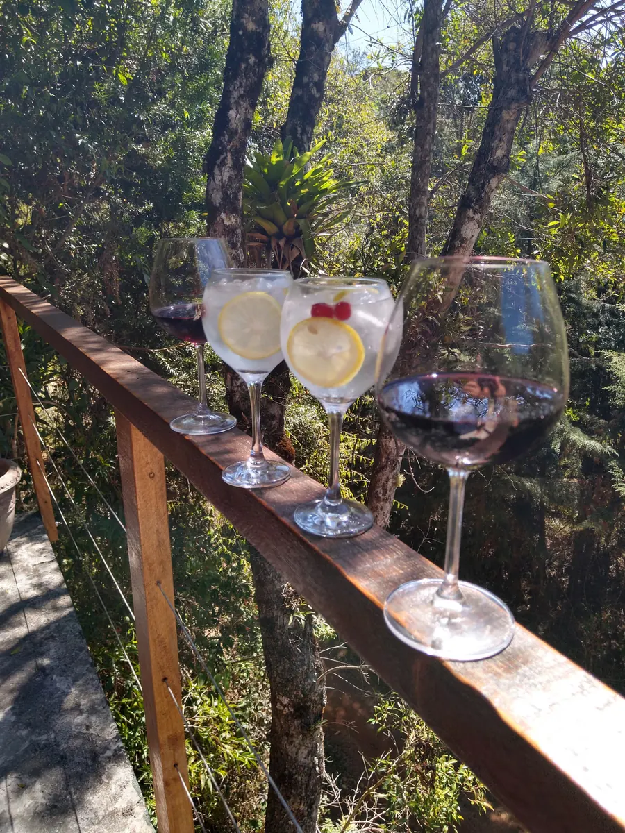 Taças de vinho e gin no guarda-corpo da varanda, em meio à mata