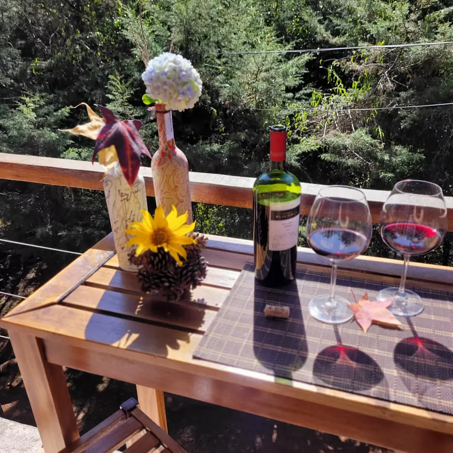 Vinho tinto servido na mesa da varanda, com flores e a mata ao fundo